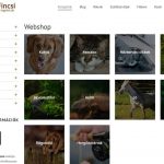 Allatifincsi hu 2018 04 18 01 18 29