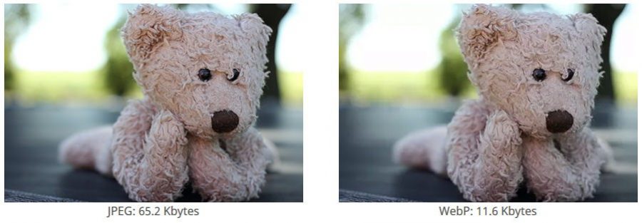 Webp Vs Jpg