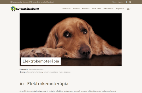 kutyaegeszseg blog cikk
