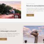 struccfeszek referencia rotisoft 03