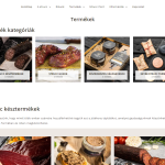 struccfeszek referencia rotisoft 06