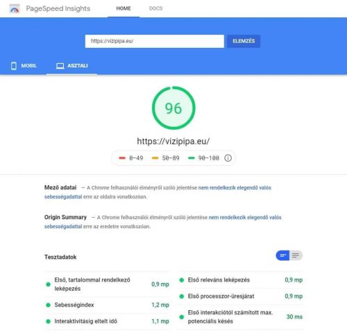 Vizipipaeu Pagespeed Insight Pc