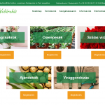 viragwebaruhaz pc 03