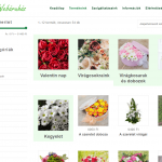 viragwebaruhaz pc 05