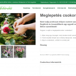 viragwebaruhaz pc 06