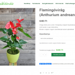 viragwebaruhaz pc 07