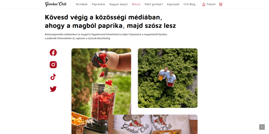 gombail teljes referencia pc socialmedia